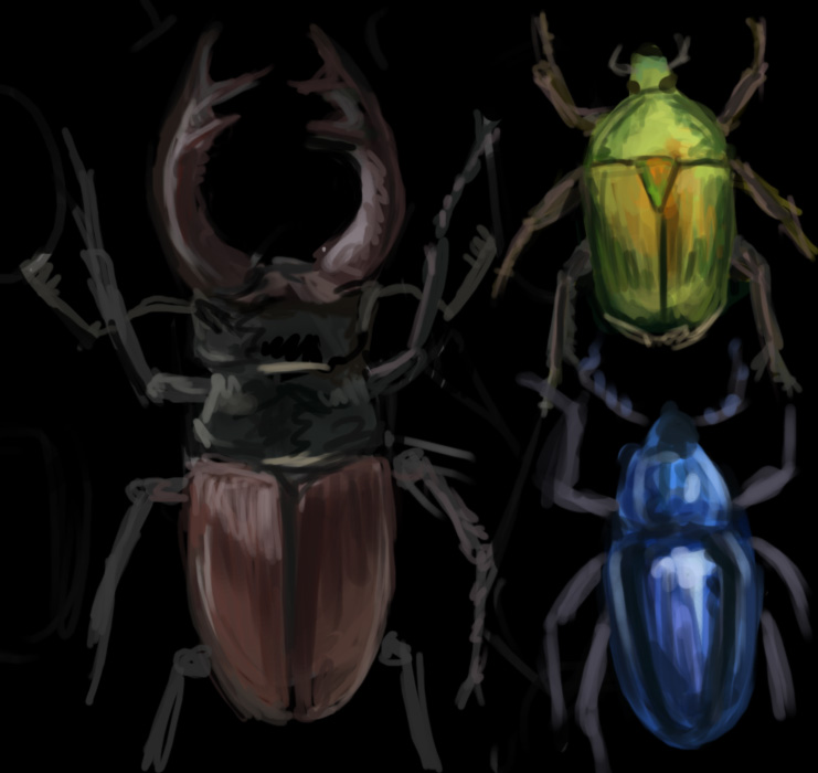 [beetles.jpg]