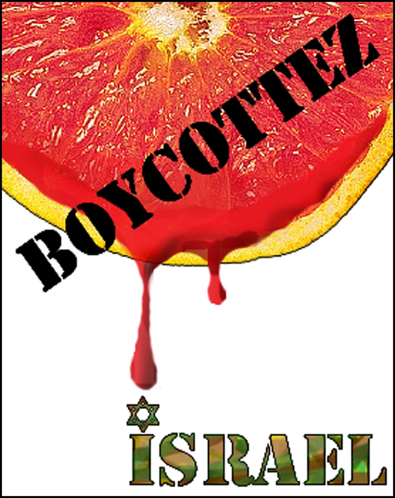 [israel_boycott.jpg]