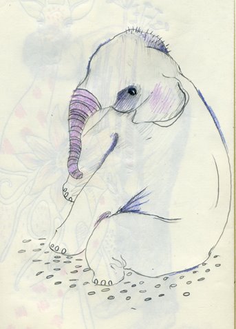 [obryan_elephant_sketch.jpg]