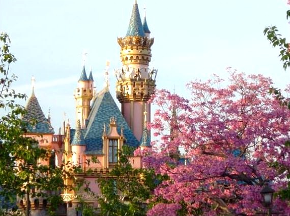 [Disneyland_01+.jpg]