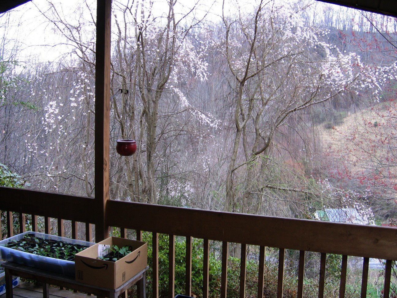 [view+from+front+porch.jpg]