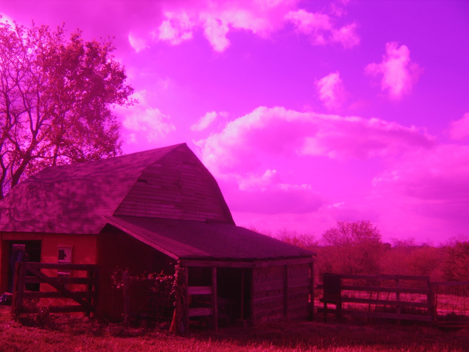 [barn+and+sky.jpg]