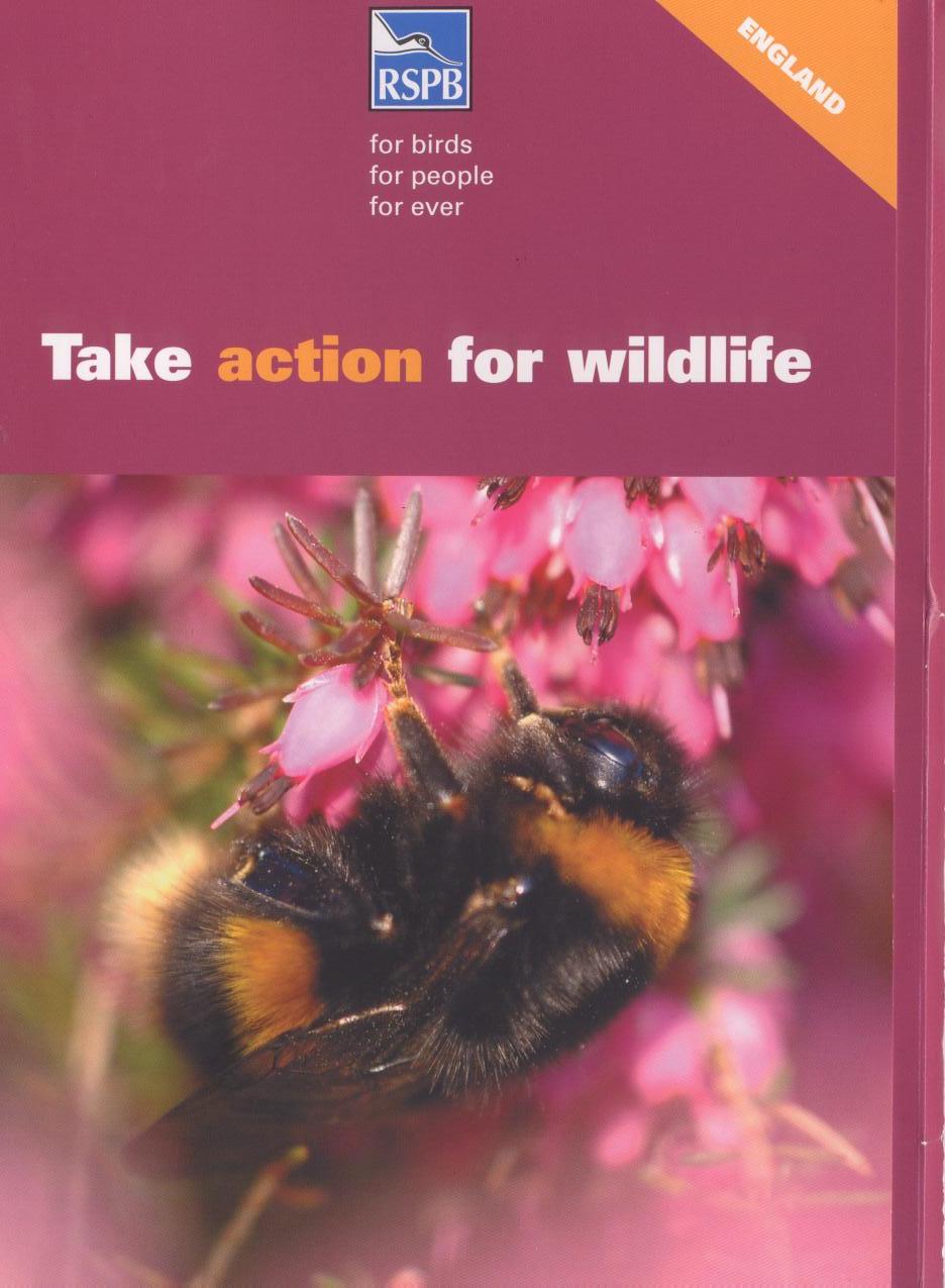 [RSPB+Action+for+Wildlife+Pack.jpg]