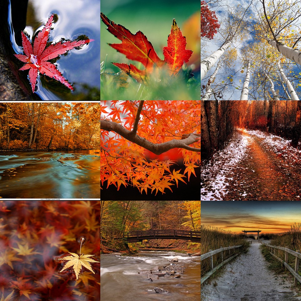 [autumn+collage.jpg]