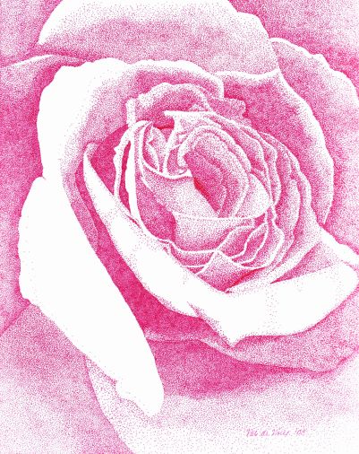 [Stippled+Pink+Rose+--+Stage+3+--+darker..jpg]
