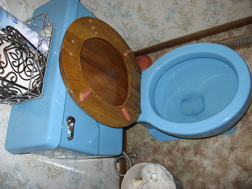 [blue+toilet.jpg]