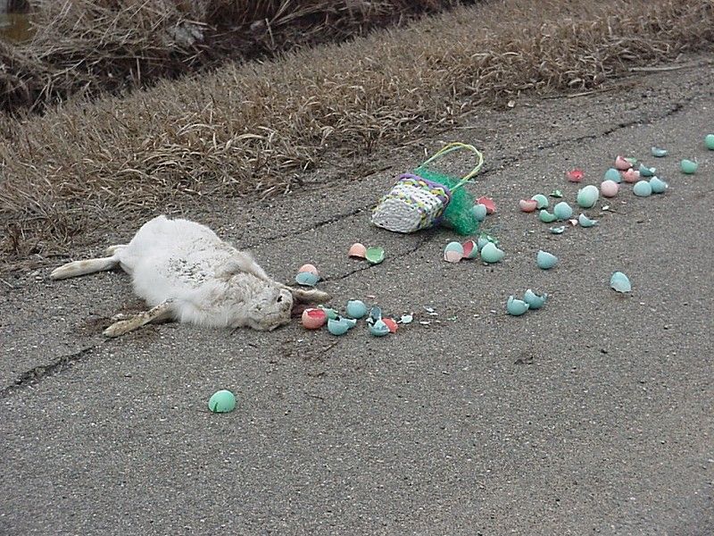 [Easter_is_cancelled.jpg]