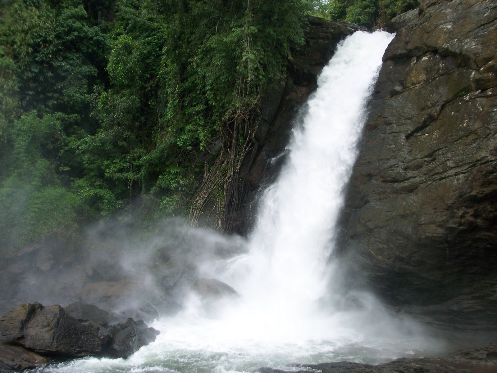 Soochipara falls - Wayanad