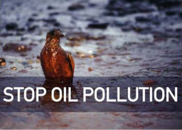 [oil_pollution_text_eng.jpg]