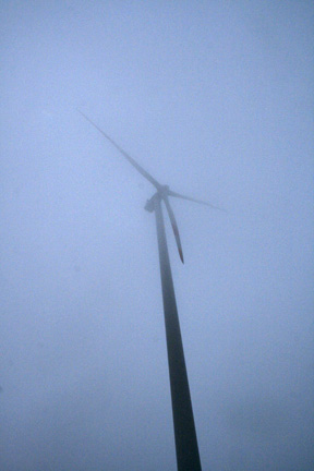 [foggywindmill.jpg]