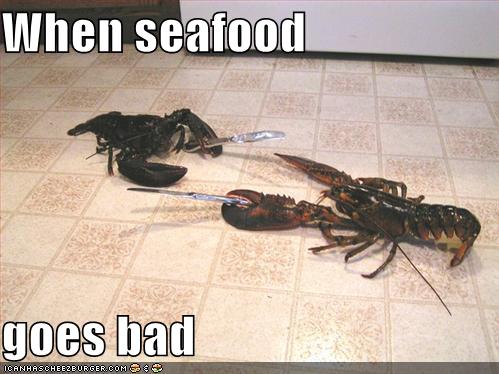 [funny-pictures-dueling-lobsters.jpeg]