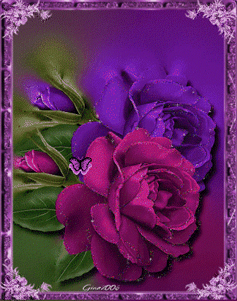 [rose+violet.gif]