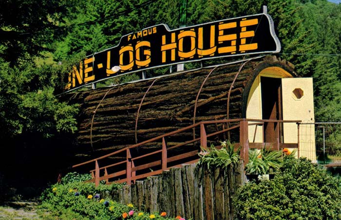 One Log House