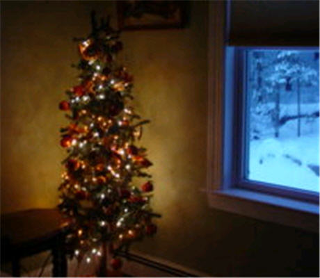 [Christmas+Tree+at+Peschke's+2007.jpg]