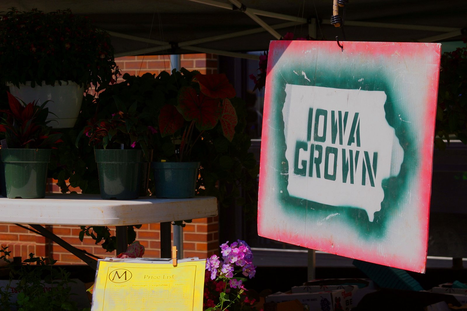 [Iowa+Grown.jpg]