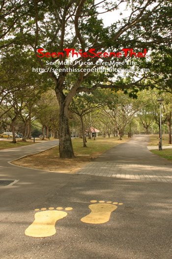 [Singapore-Parks.jpg]