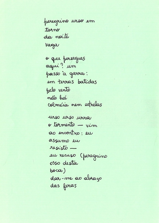 [Poema_Paulinho1.jpg]
