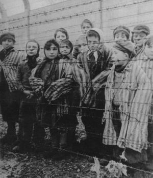 [300px-Holocaust.jpg]