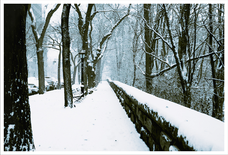 [winter+wonderland.jpg]