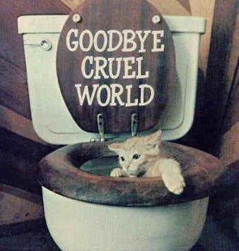 [goodbye-cruel-world.jpg]
