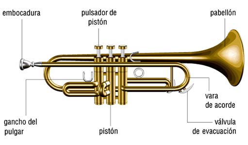 [p_trompeta.jpg]