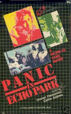PANIC IN ECHO PARK (1977)