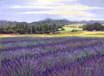 [North+Plains+Lavender.jpg]
