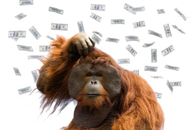 [orangutan-dinero.jpg]