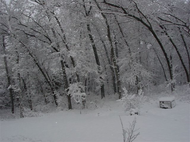 [snow+april_2008_024.jpg]