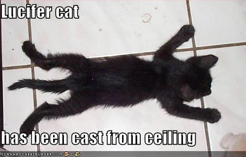 [funny-pictures-lucifer-cat-on-floor.jpg]