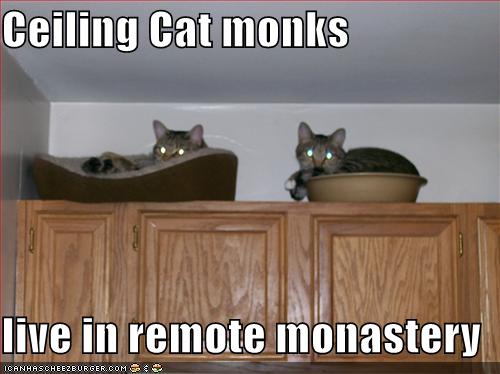 [funny-pictures-ceiling-cat-monks-cupboards.jpg]