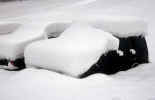 [cars-snow-photo_small.jpg]