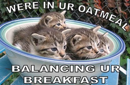 [We're+in+your+oatmean.jpg]