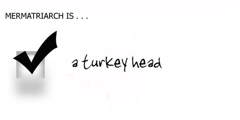 [turkey_head+(Medium).jpg]