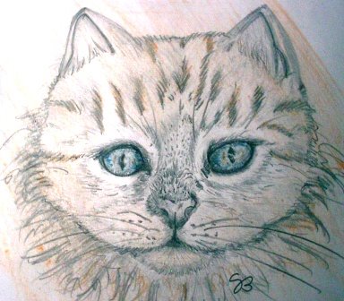 [gatto+arancio+matita+17-03-2008.JPG]