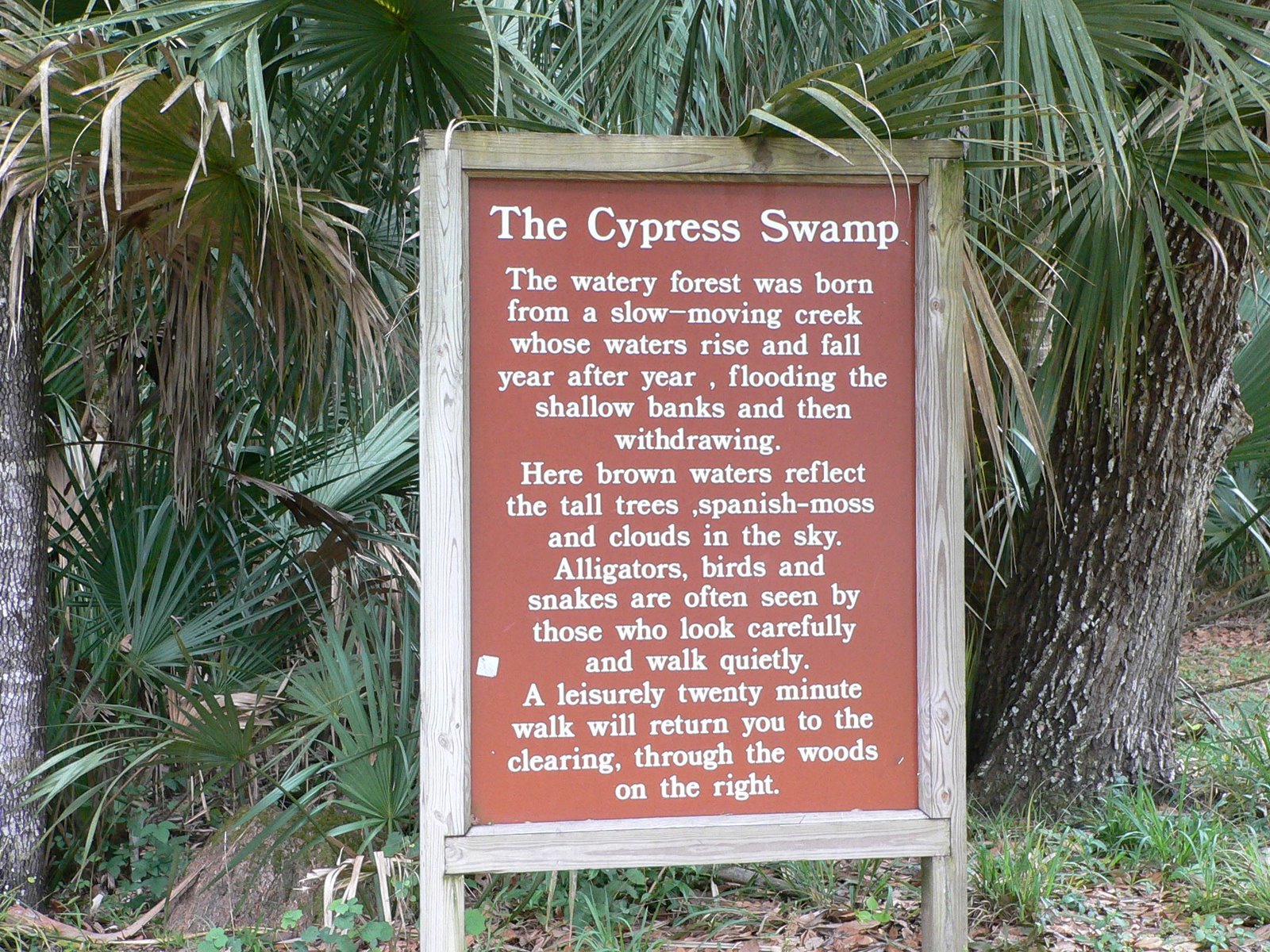[Cypress+Swamp+Trail.JPG]
