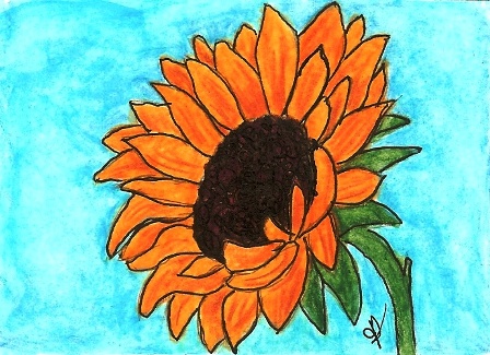 [Blooming+Sunflower.jpg]
