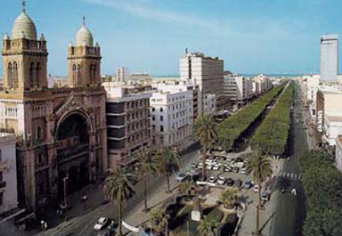 [_22982_Tunis_street.jpg]