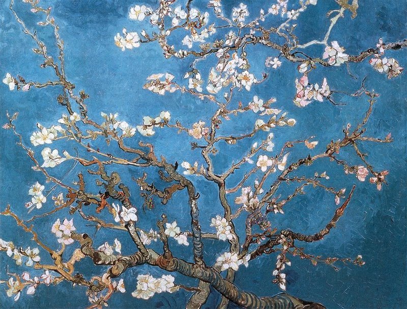 [Van+Gogh,+Vincent+(1890)+Branch+of+an+Almond+Tree+in+Blossom.jpg]