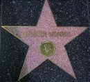 Marilyn's Star
