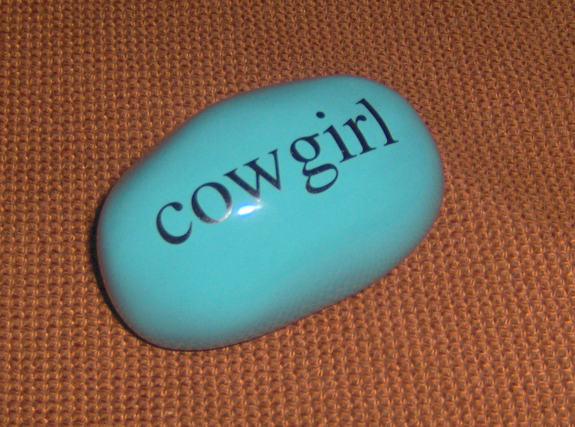 [061207+Cowgirl+rock.jpg]