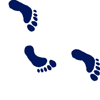 [footprints-down.gif]
