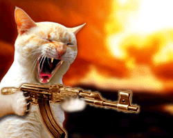 [cat+with+machine+gun.gif]