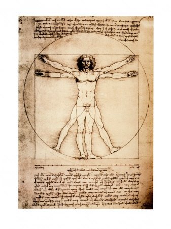 [Leonardo+Da+Vinci+-+Uomo+Vitruviano.jpg]