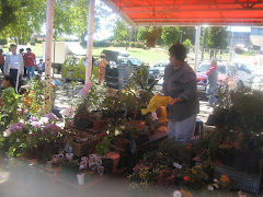Feriante vendiendo flores y plantas