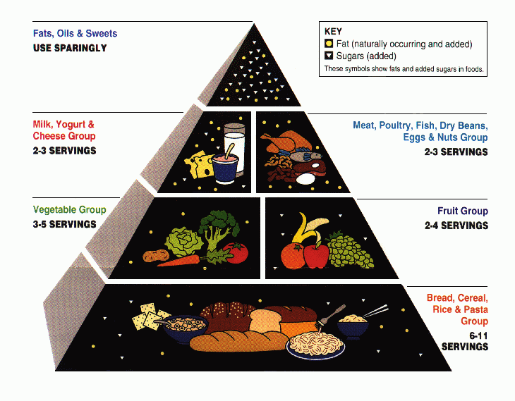 [USDA_Food_Pyramid.gif]