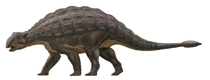 [rm_ankylosaurus.jpg]