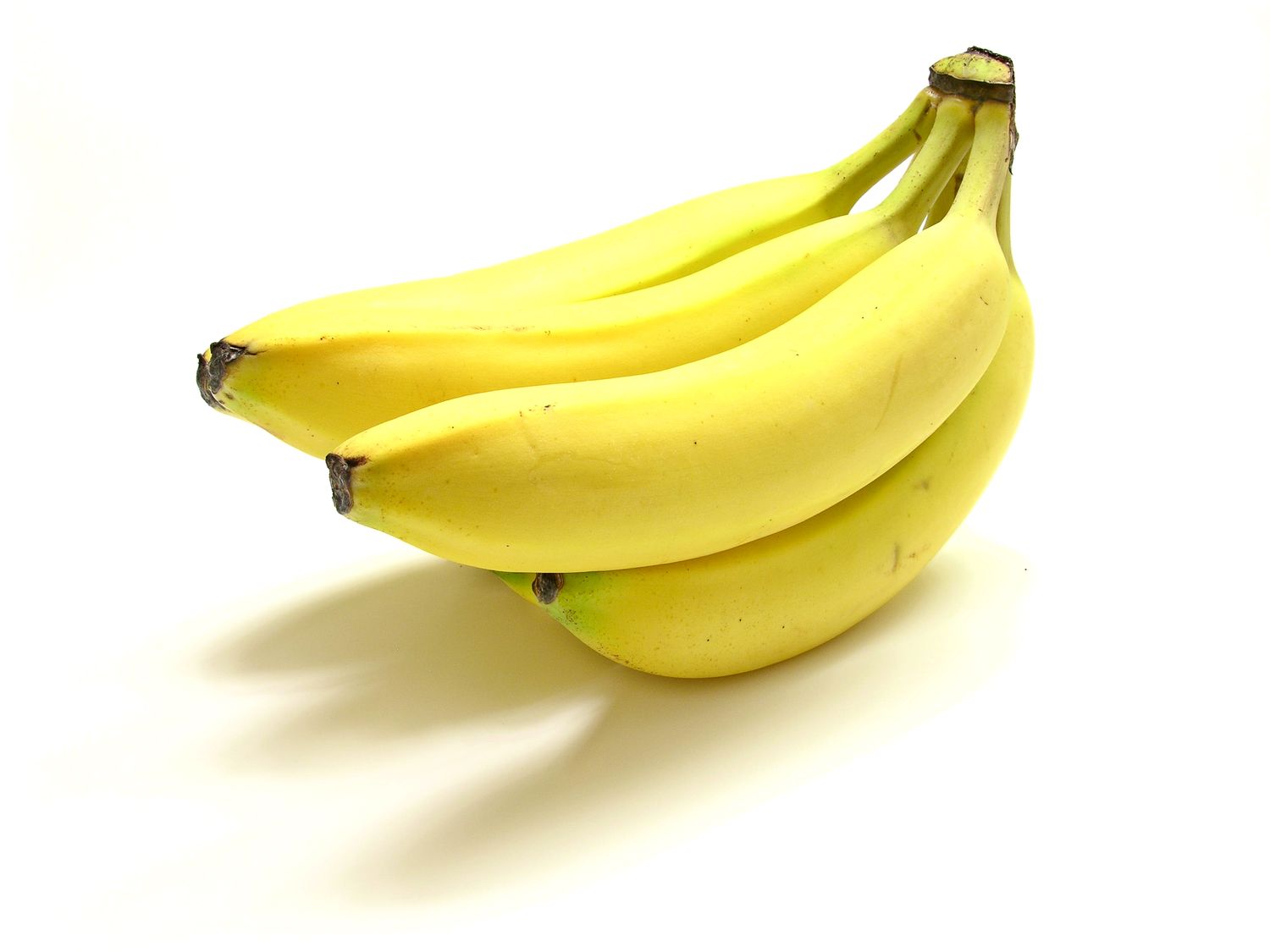 [Bananes.jpg]