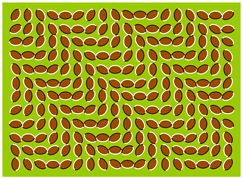 [optical-illusion.gif]