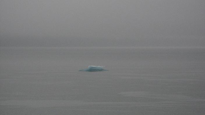 [Iceberg+with+birds+blogphoto.jpg]